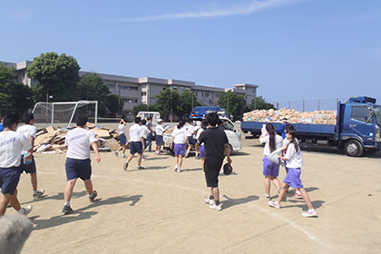 0P7290129-420.jpg