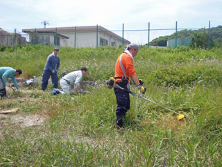 DSC04796.jpg