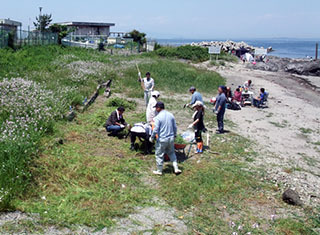 DSC2036.jpg