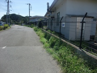 DSCF3320.jpg