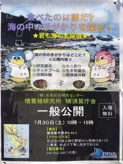 IMGP1111.jpg