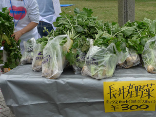 P1050011vga2.jpg