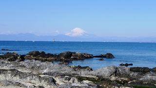 P1050952wvga.jpg