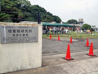 P7300443.jpg